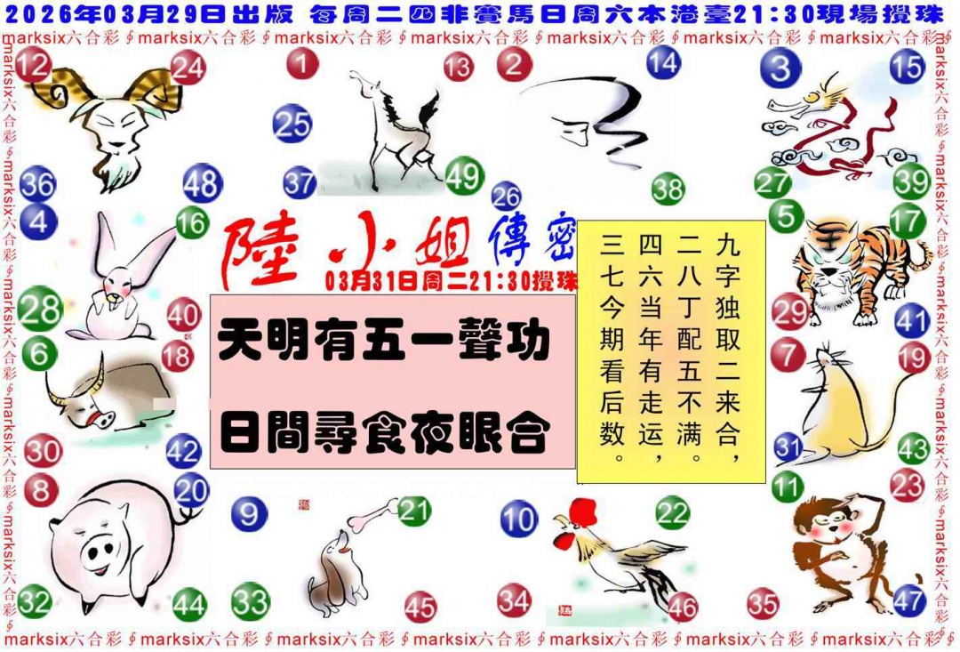 035期陆小姐传密B[图]